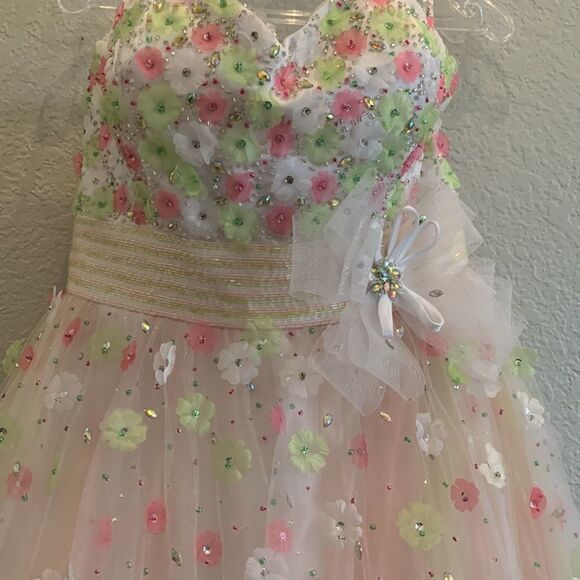 Pink and Green Ball Gown - Picture 6 of 10